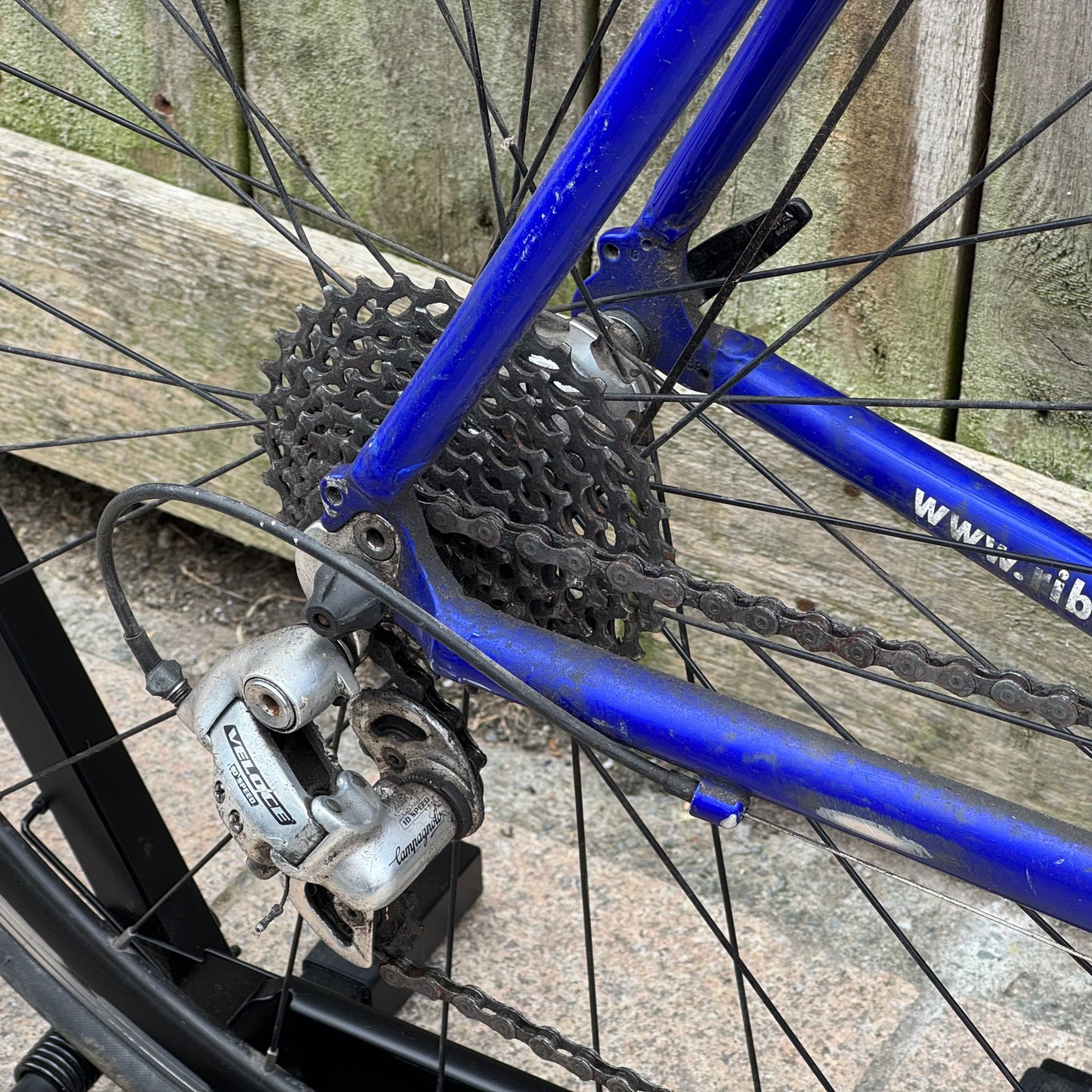 Ribble Audax Road Bike 64cm Campagnolo Veloce