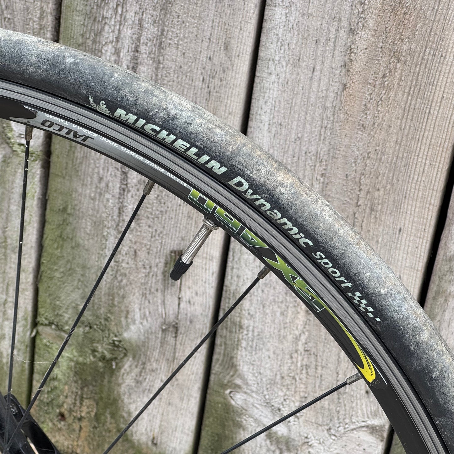 Ribble Audax Road Bike 64cm Campagnolo Veloce